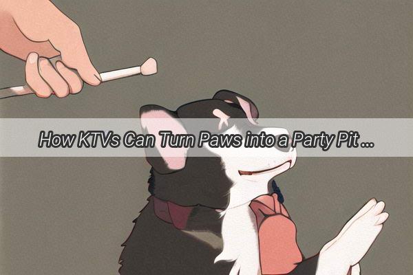 How KTVs Can Turn Paws into a Party Pit The Impact on Our Furry Friends